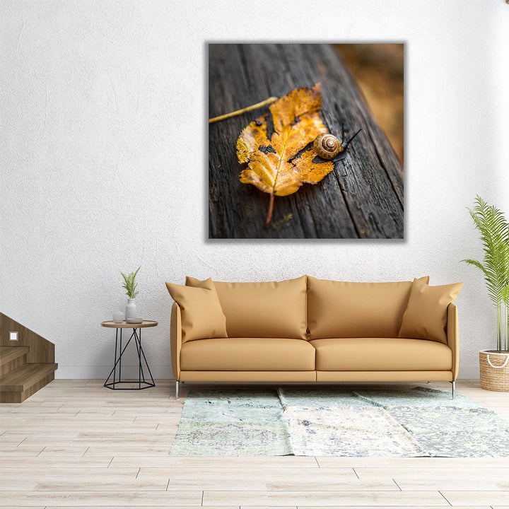 Snails Pace - Canvas Print Wall Art