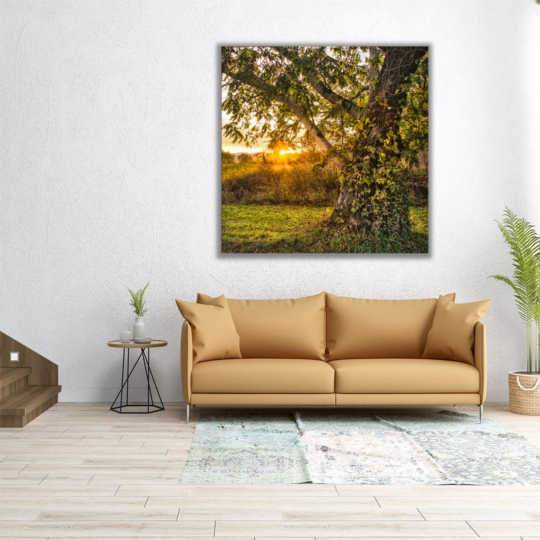 Calling It a Day - Canvas Print Wall Art