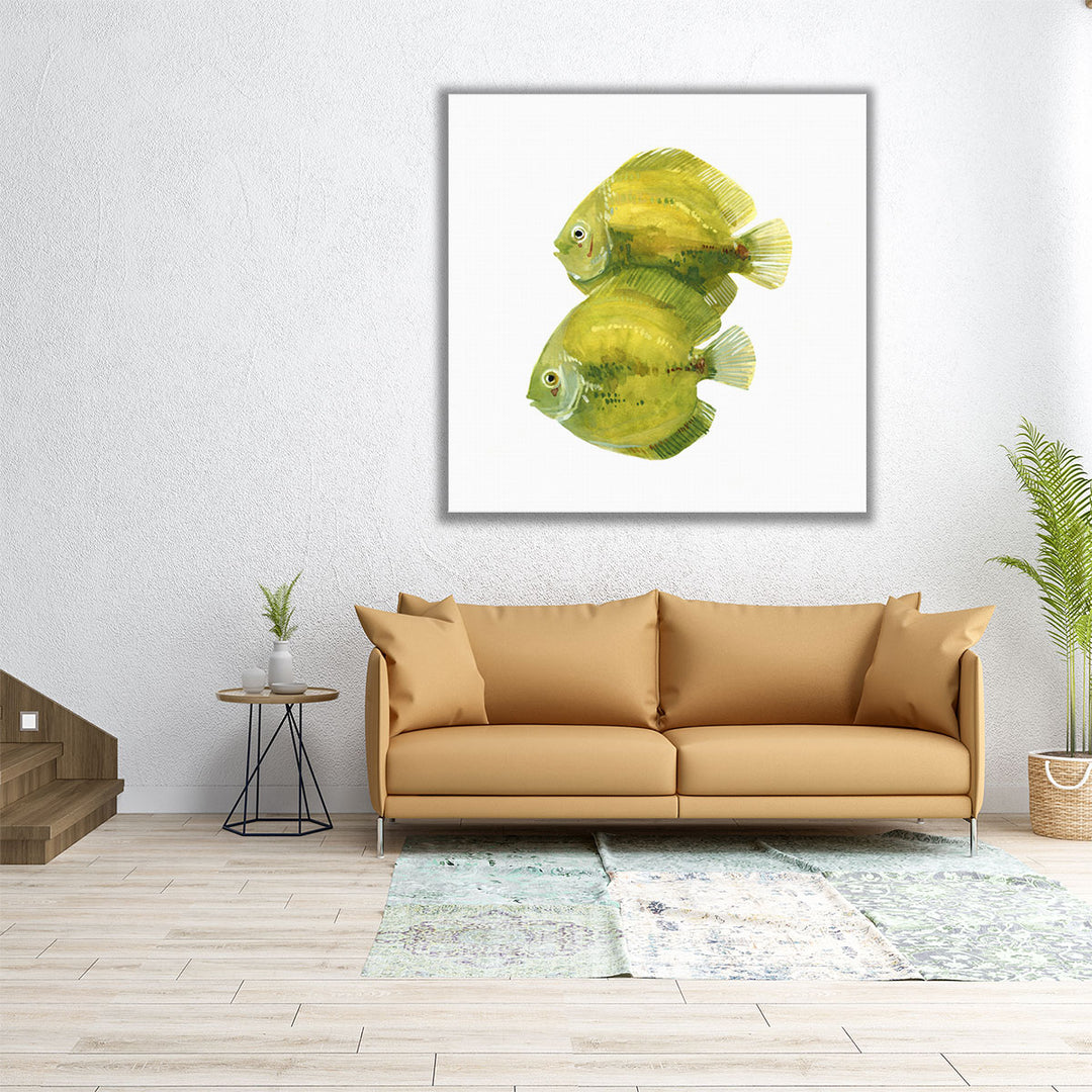 Discus Fish II - Canvas Print Wall Art