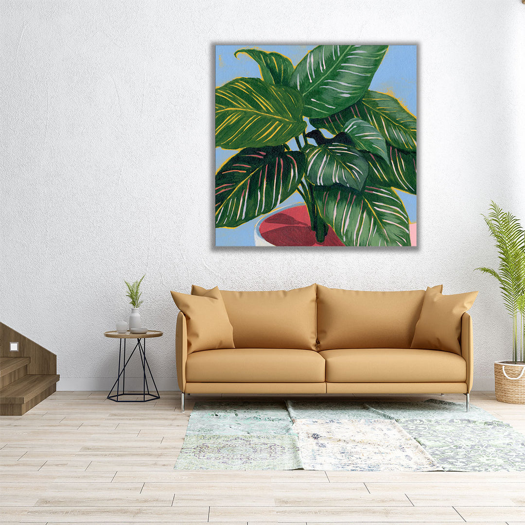 Calethea IV - Canvas Print Wall Art