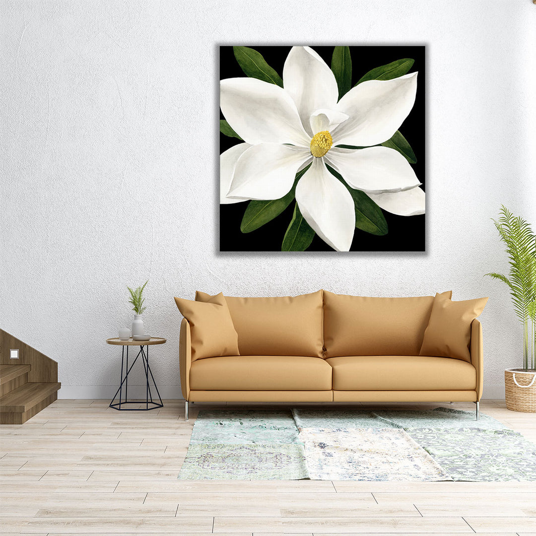 Midnight Magnolia I - Canvas Print Wall Art