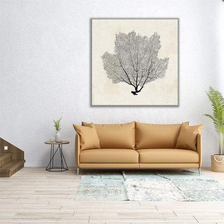 Sea Fan Sketch I Black And White - Canvas Print Wall Art