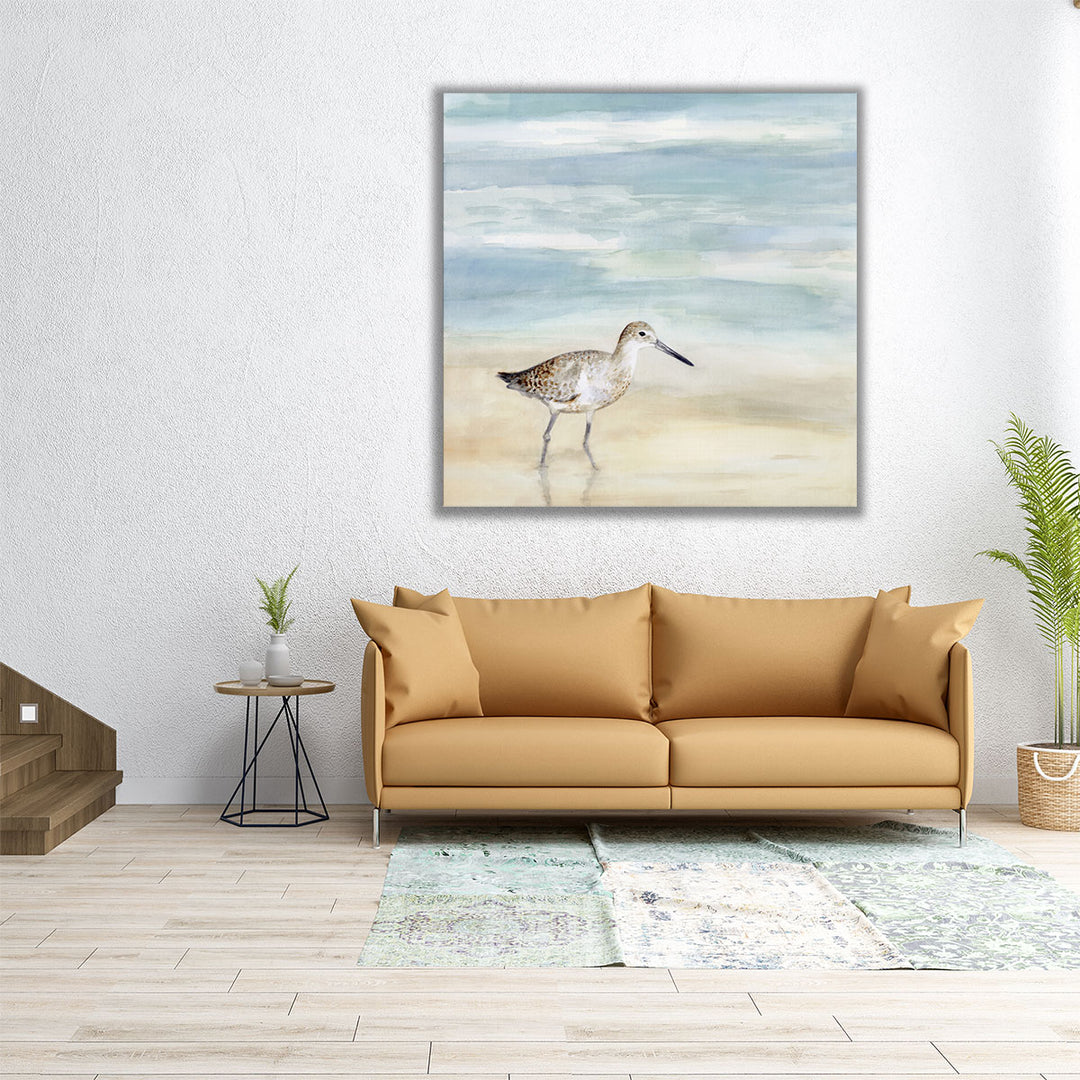 Speckled Willet I - Canvas Print Wall Art