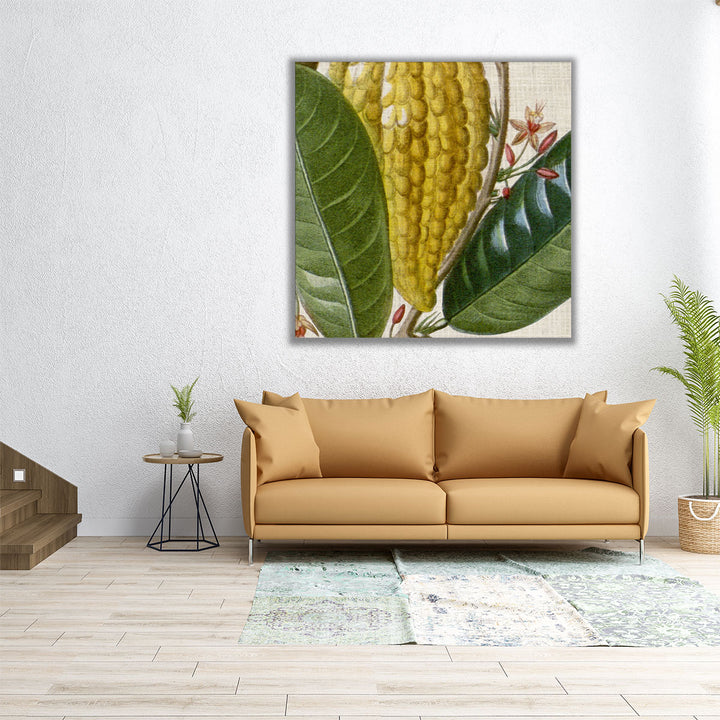 Cropped Turpin Tropicals VI - Canvas Print Wall Art