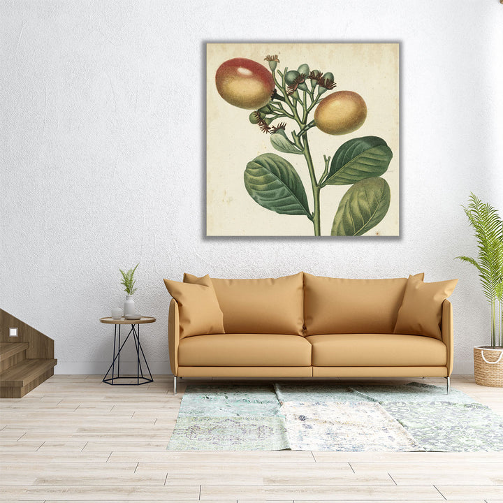 Garden Bounty I - Canvas Print Wall Art