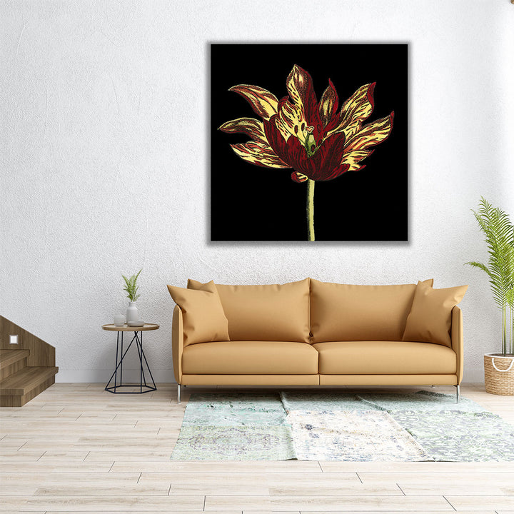 Natural Beauty on Black I - Canvas Print Wall Art