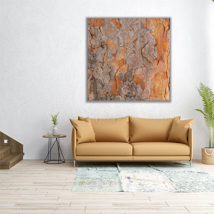 Natures Textures VII - Canvas Print Wall Art