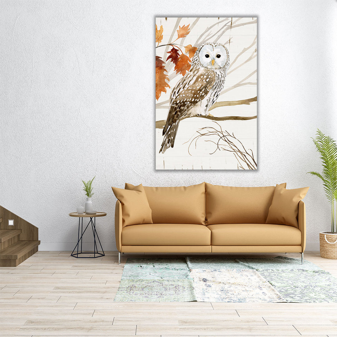 Harvest Owl I - Canvas Print Wall Art