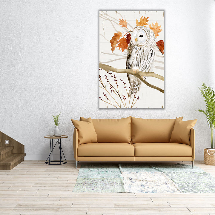 Harvest Owl II - Canvas Print Wall Art