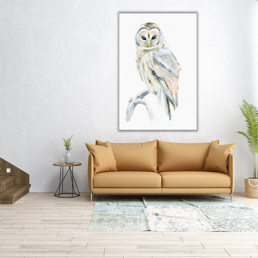 Arctic Owl II - Canvas Print Wall Art