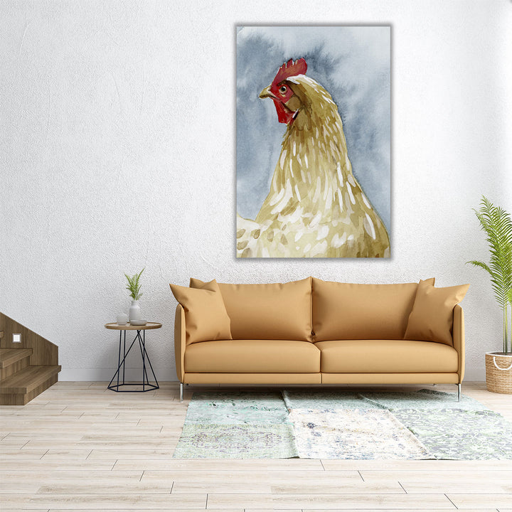 Chicken Portrait I - Canvas Print Wall Art