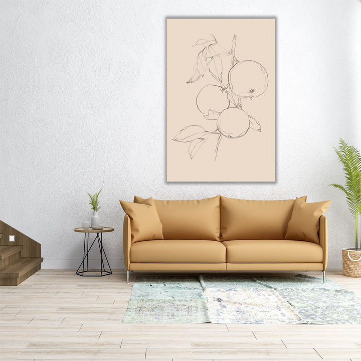 Fruit Contour Study I - Canvas Print Wall Art