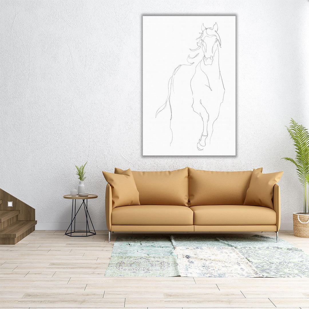 Horse Contour I - Canvas Print Wall Art