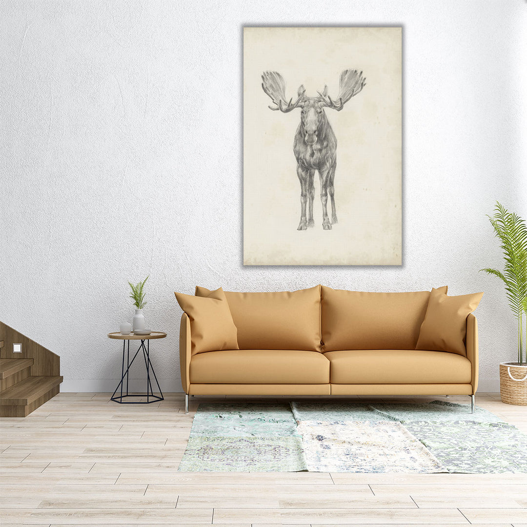 Moose Study - Canvas Print Wall Art