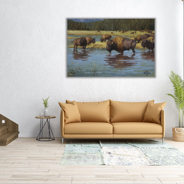 Buffalo Crossing - Canvas Print Wall Art