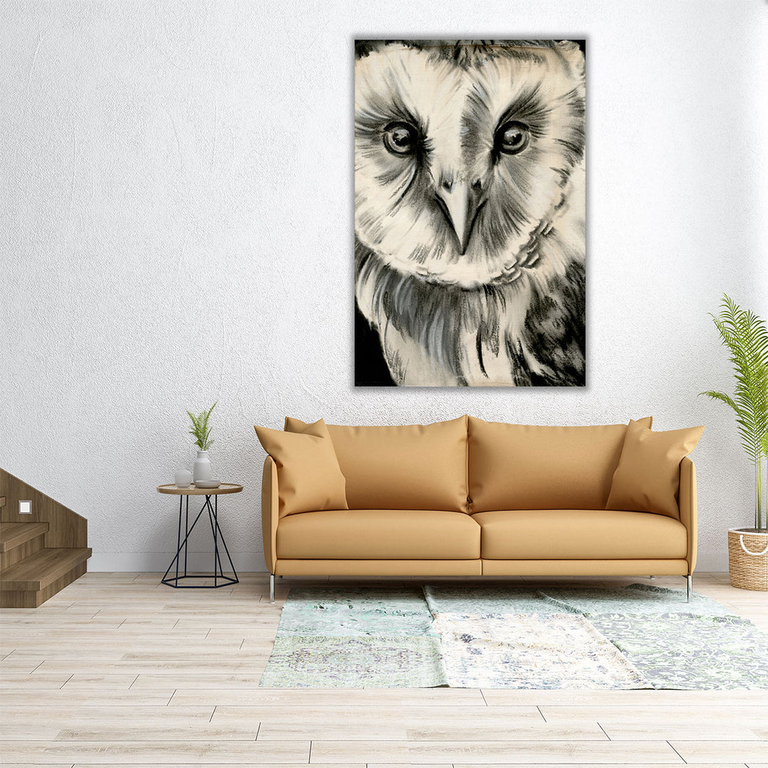 Charcoal Owl II - Canvas Print Wall Art