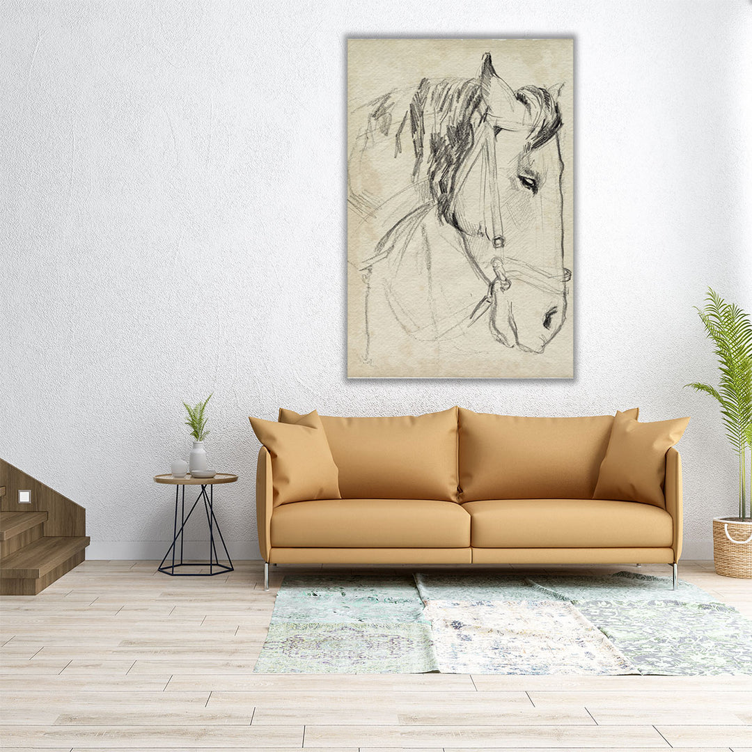 Horse in Bridle Sketch I - Canvas Print Wall Art