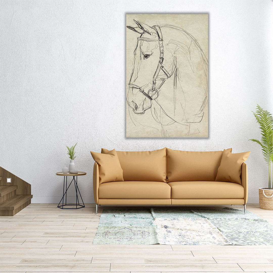 Horse in Bridle Sketch II - Canvas Print Wall Art