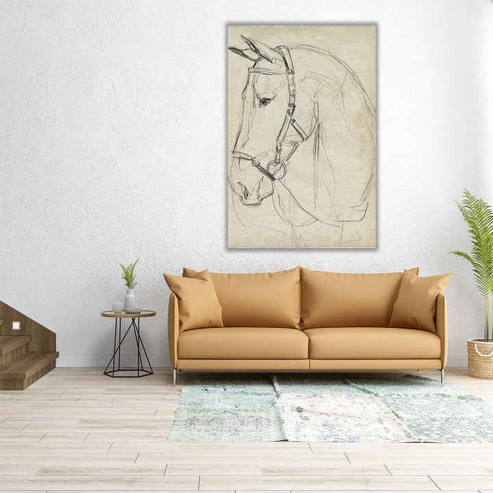 Horse in Bridle Sketch II - Canvas Print Wall Art