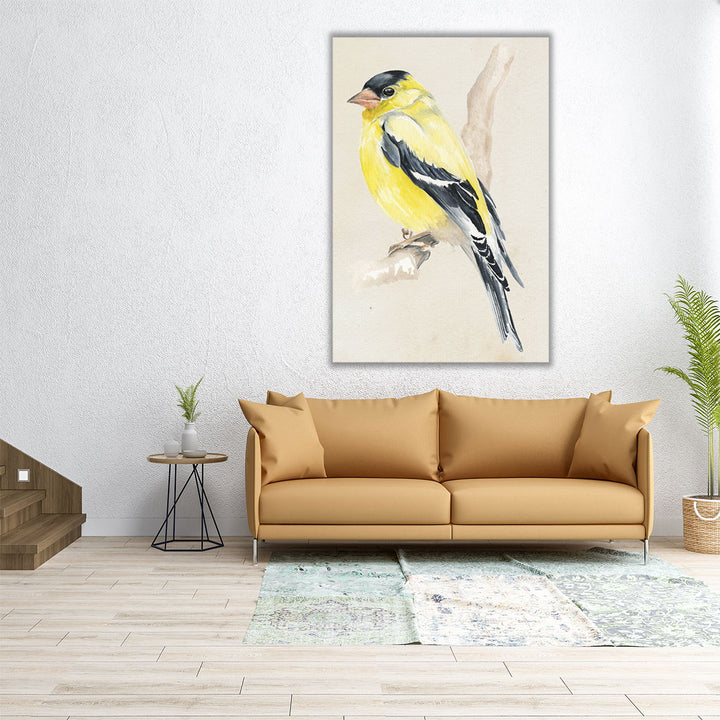 Little Bird on Branch III - Canvas Print Wall Art