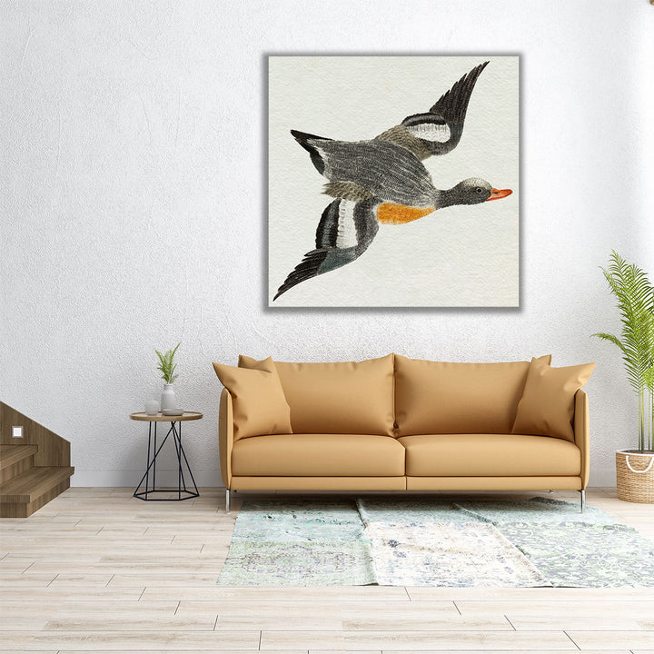 Flying Ducks I - Canvas Print Wall Art