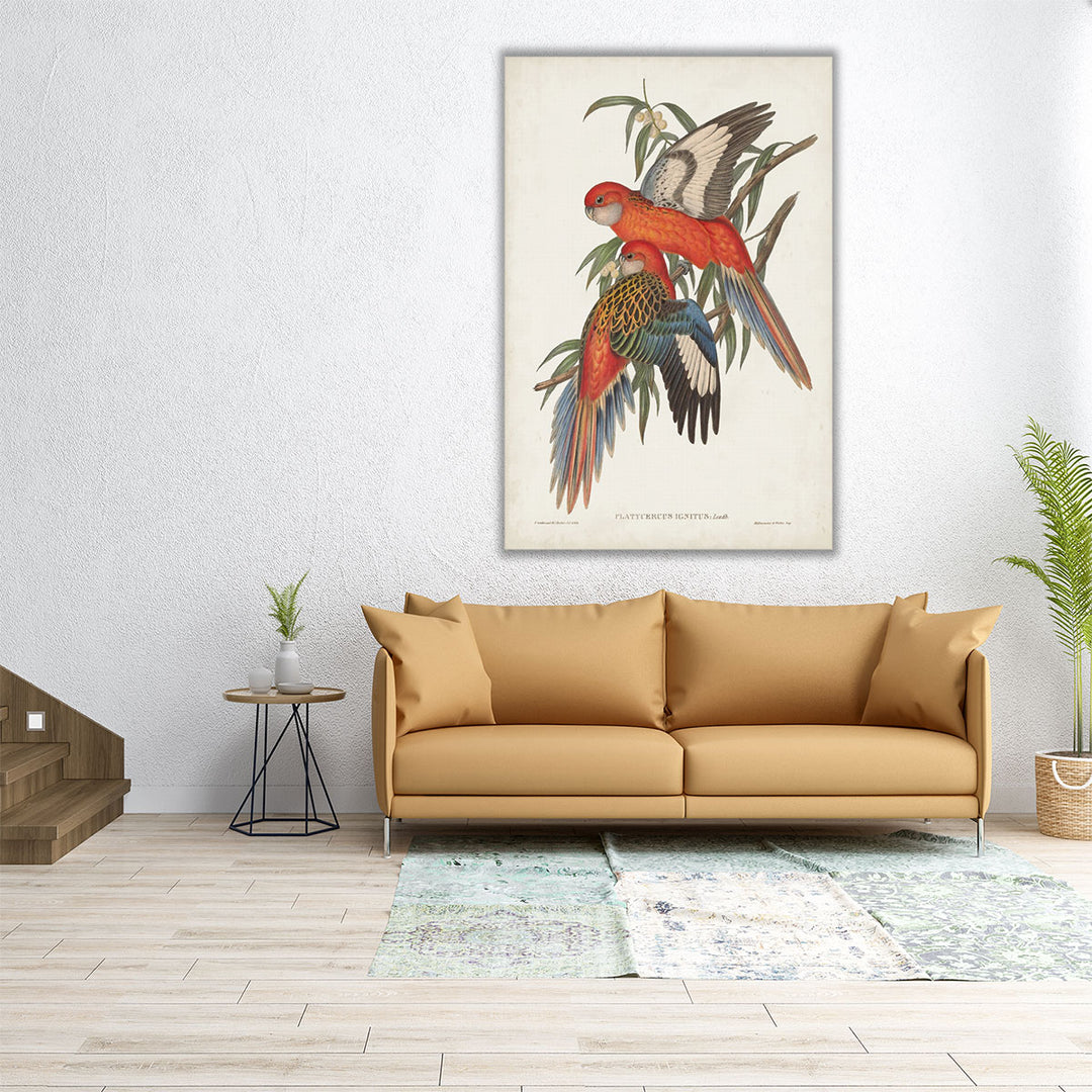 Tropical Parrots I - Canvas Print Wall Art