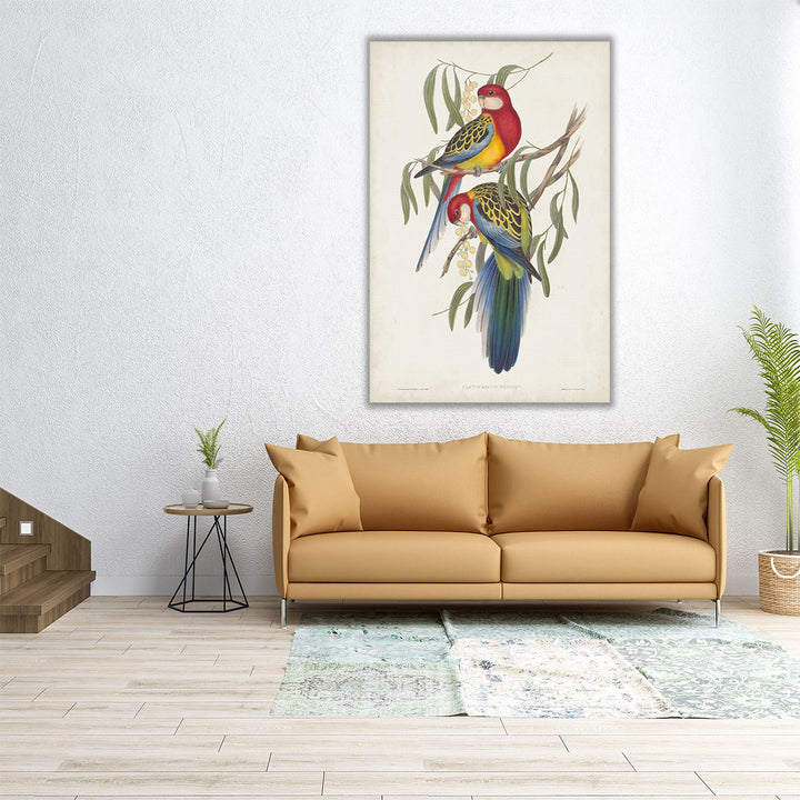 Tropical Parrots IV - Canvas Print Wall Art