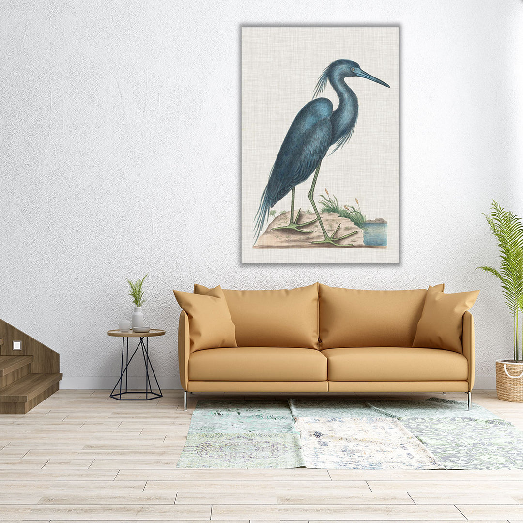 Catesby Heron II - Canvas Print Wall Art