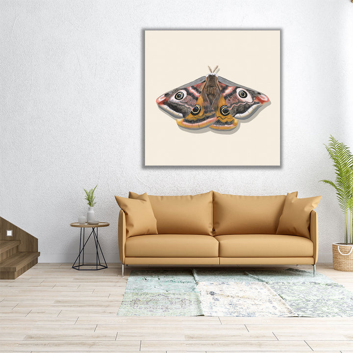 Watercolor Moths I - Canvas Print Wall Art