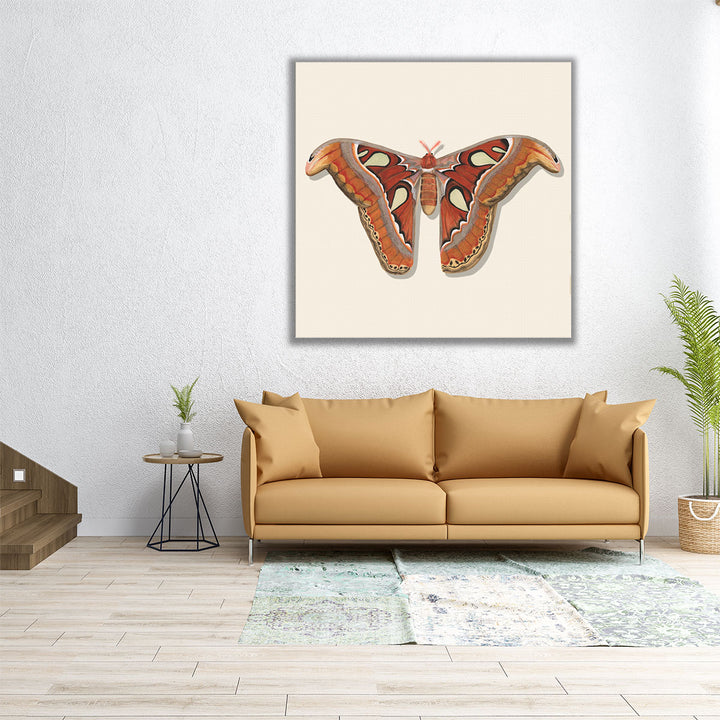 Watercolor Moths II - Canvas Print Wall Art