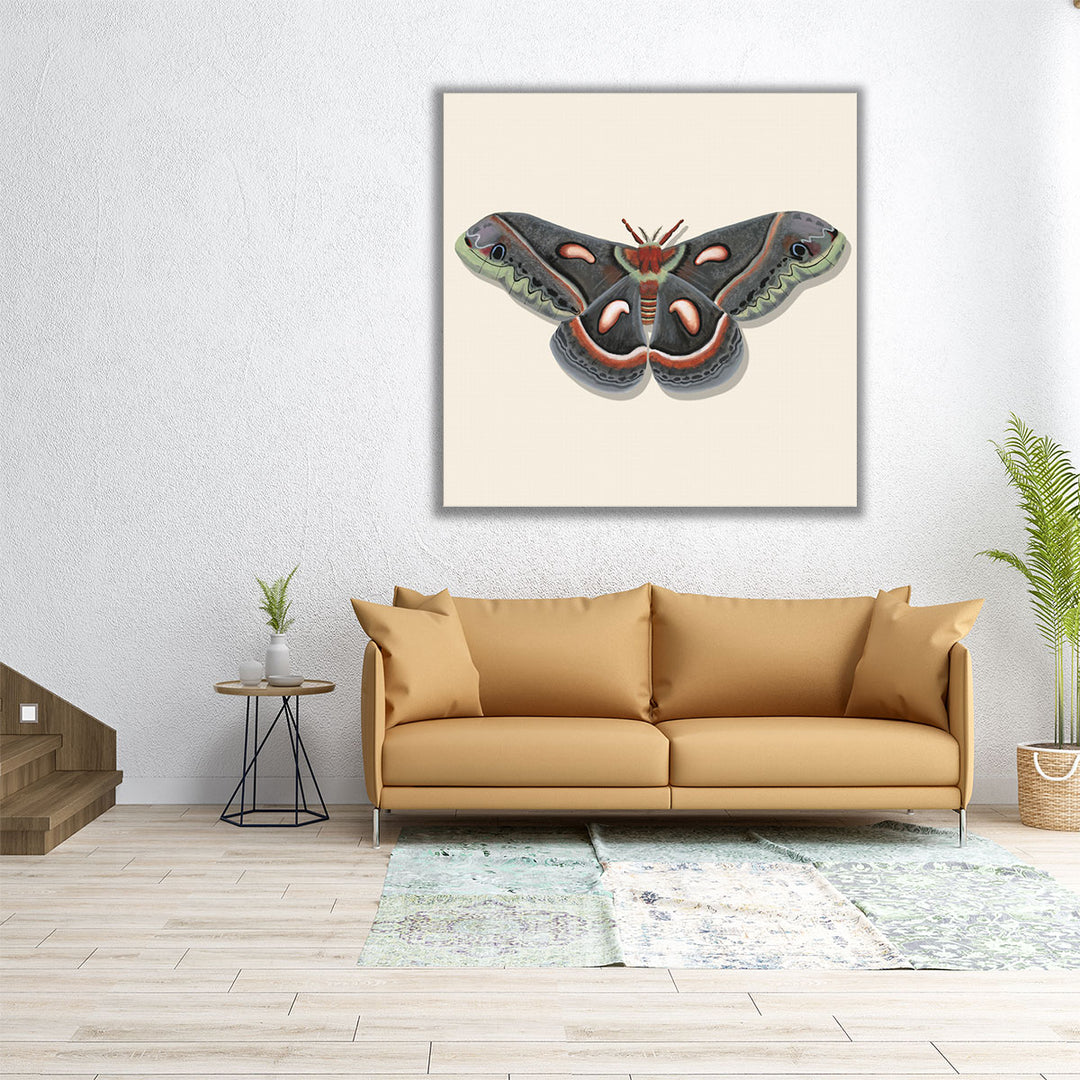 Watercolor Moths III - Canvas Print Wall Art