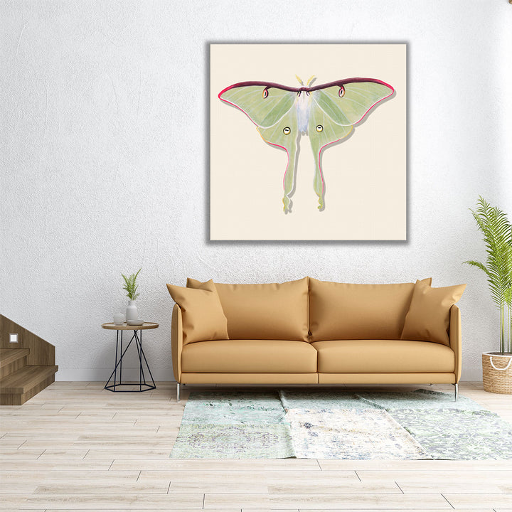 Watercolor Moths IV - Canvas Print Wall Art