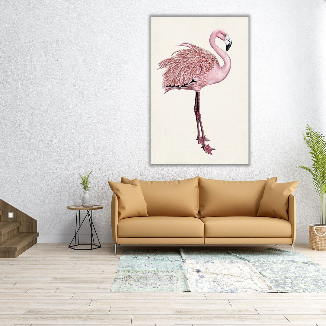 Striking Flamingo I - Canvas Print Wall Art