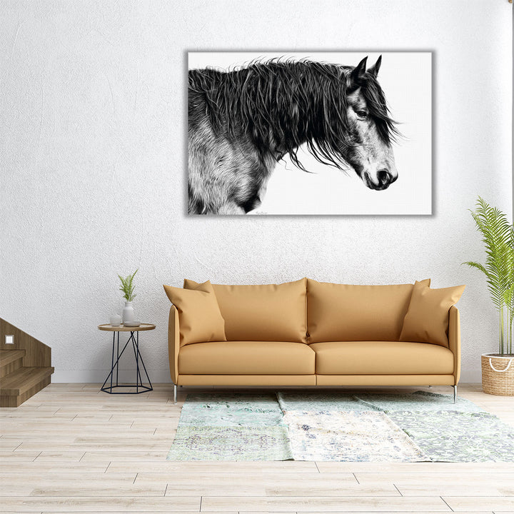 Black and White Horse Portrait III - Canvas Print Wall Art