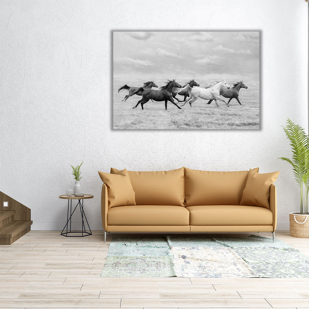 Horse Run I - Canvas Print Wall Art