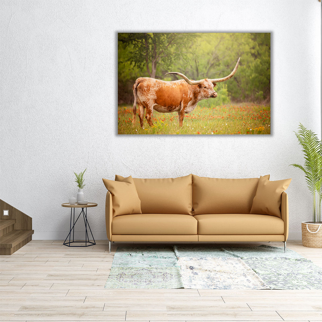 Sunlit Midwest I - Canvas Print Wall Art