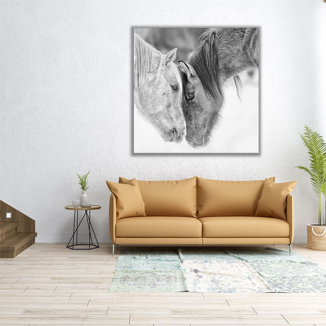 BandW Horses VII - Canvas Print Wall Art