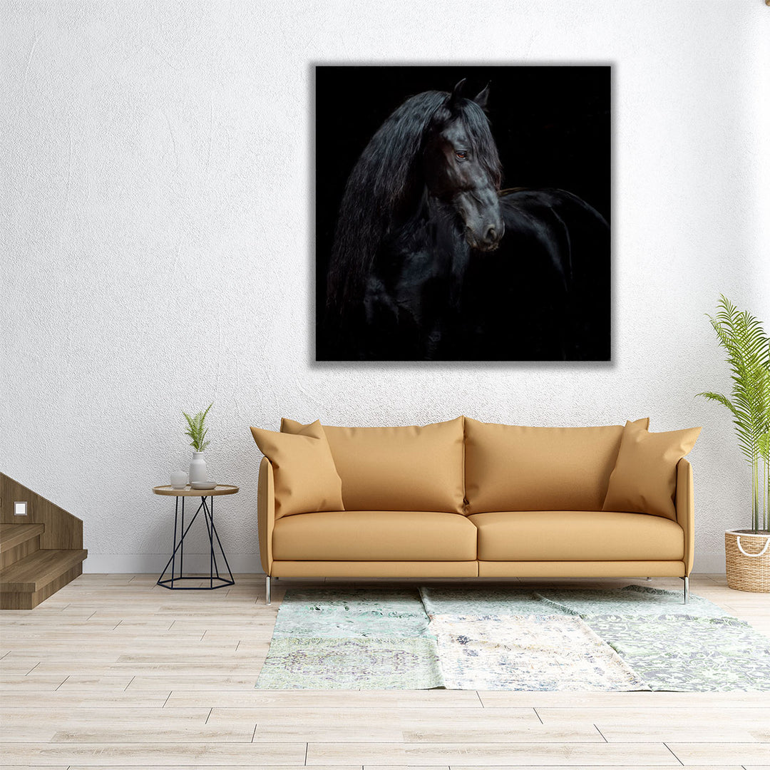 Equine Portrait XI - Canvas Print Wall Art