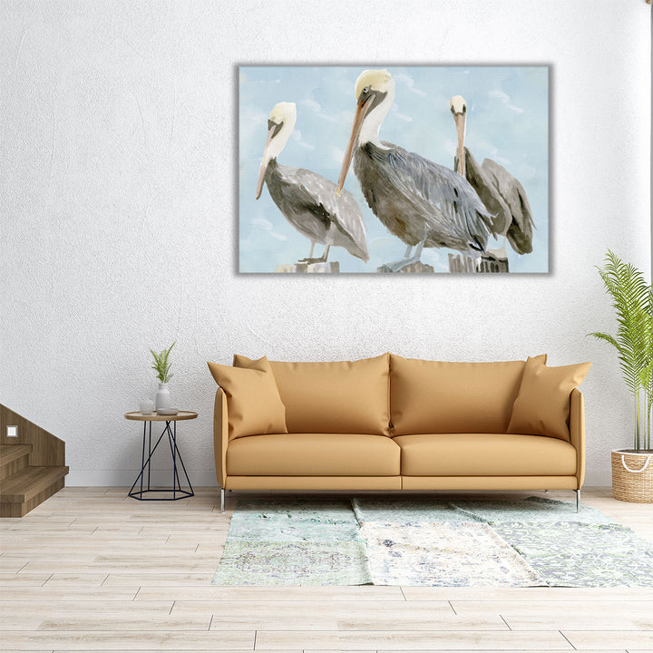 Soft Brown Pelican III - Canvas Print Wall Art