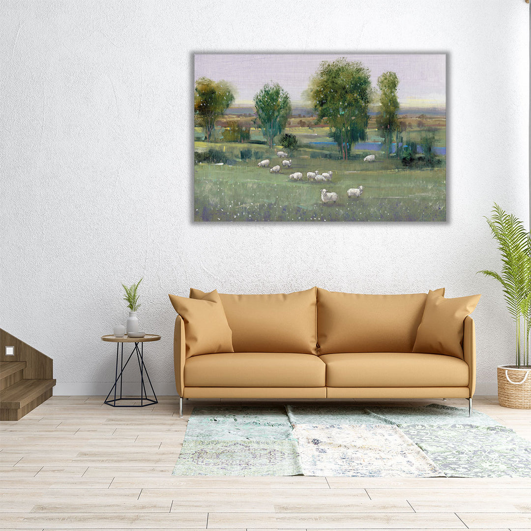 Field Of Sheep I - Canvas Print Wall Art