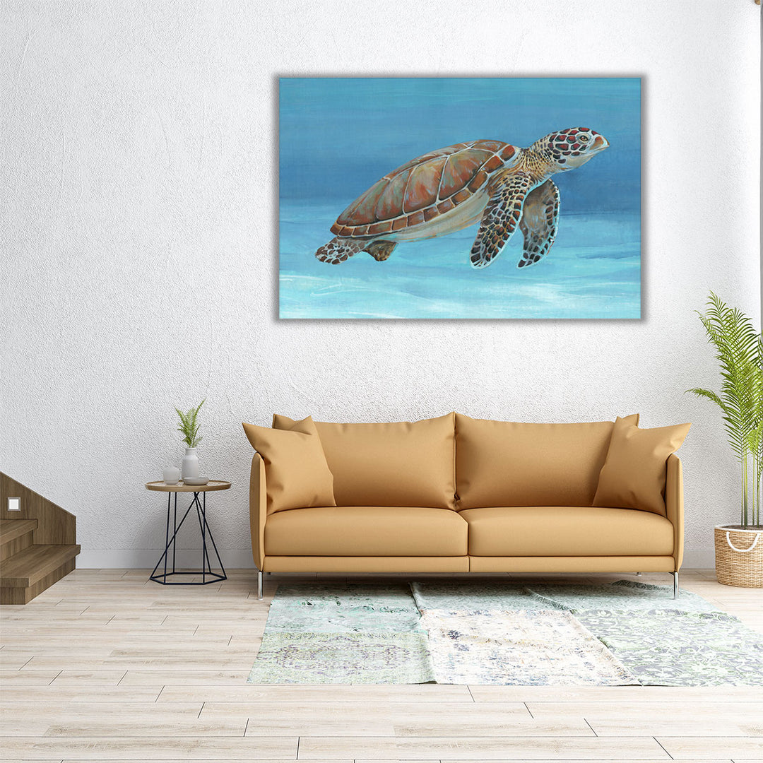 Ocean Sea Turtle I - Canvas Print Wall Art