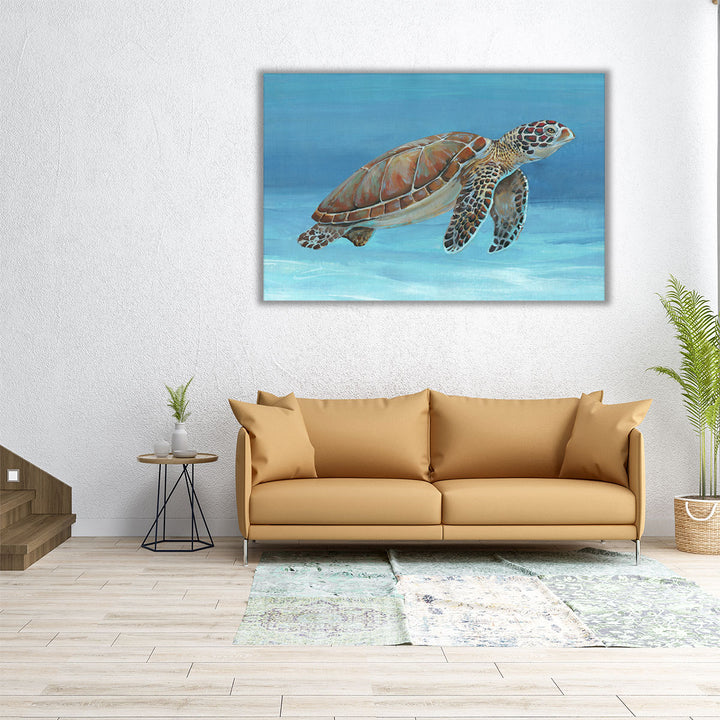 Ocean Sea Turtle I - Canvas Print Wall Art