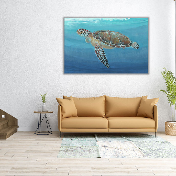 Ocean Sea Turtle II - Canvas Print Wall Art