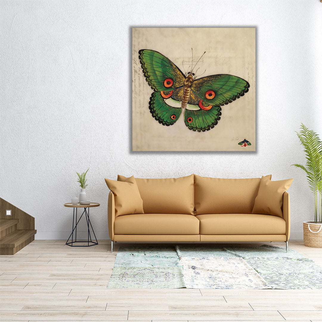 Vintage Green Butterfly - Canvas Print Wall Art