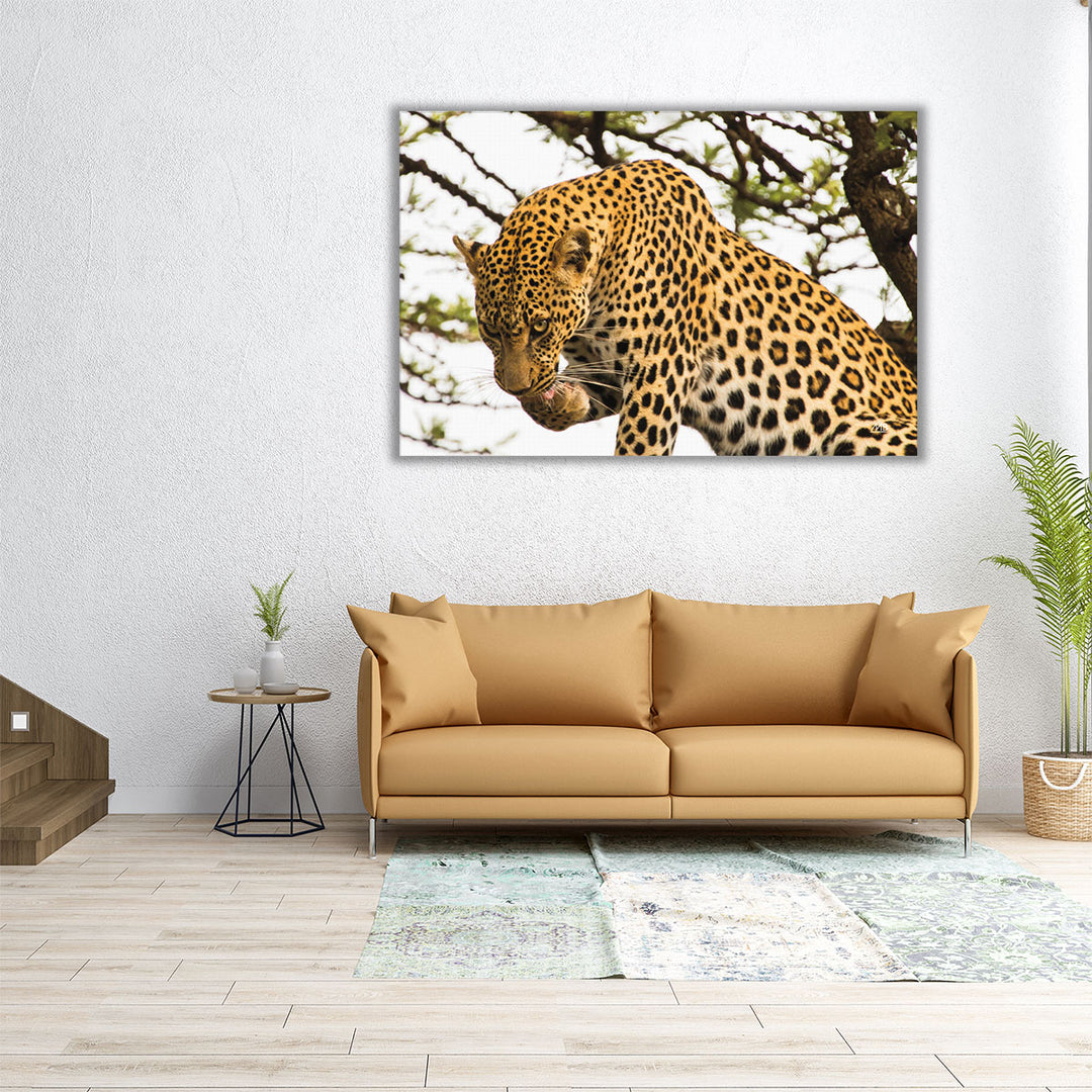 After Lunch - Canvas Print Wall Art