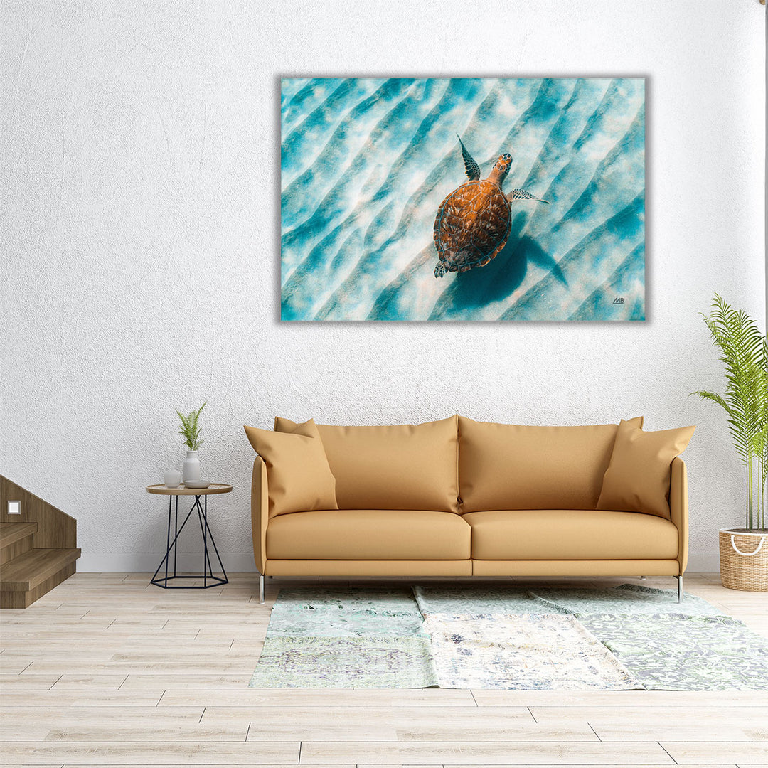 Sandbar Sea Turtle II - Canvas Print Wall Art