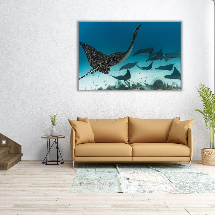 Ray Day I - Canvas Print Wall Art