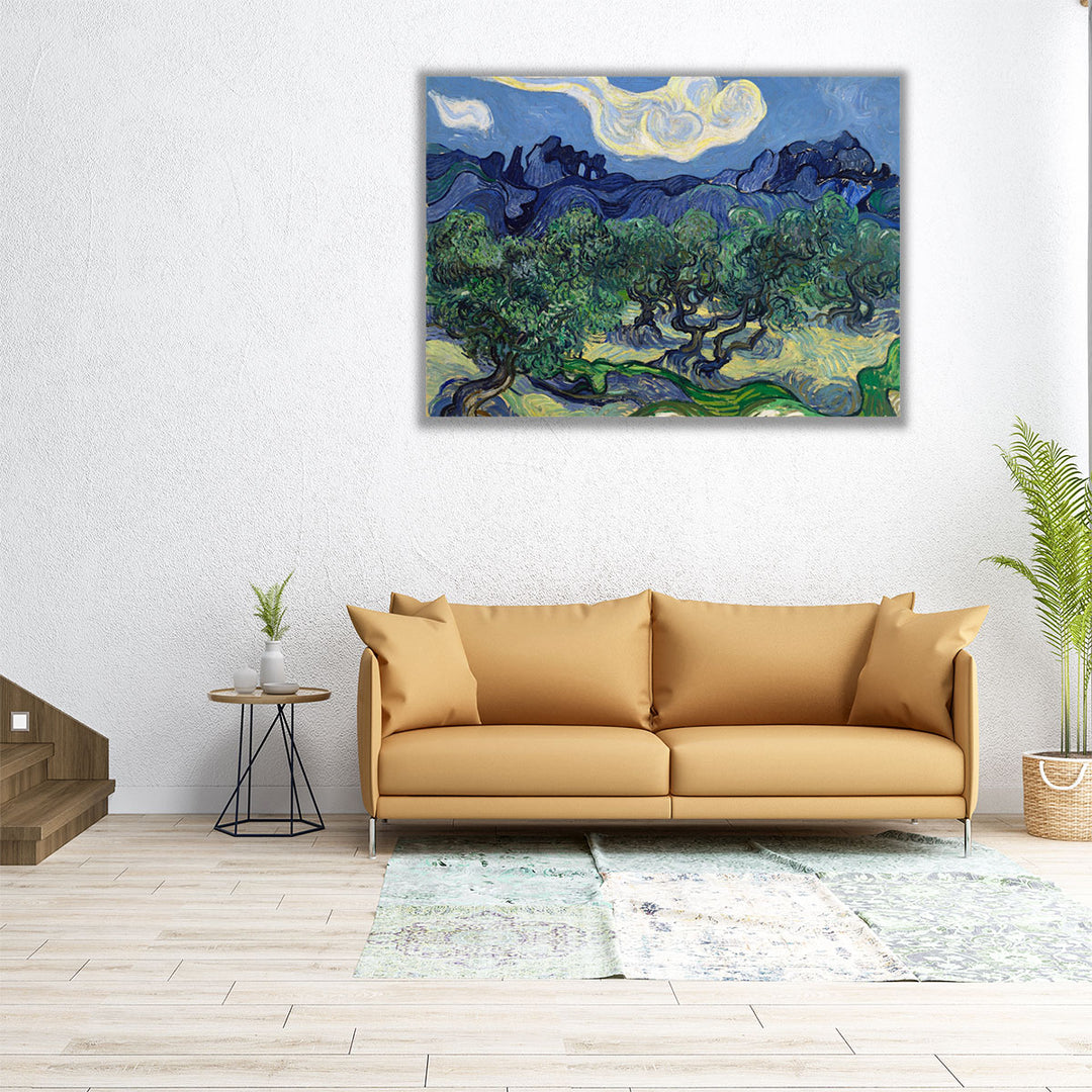 40x30 canvas featuring olive grove and mountains