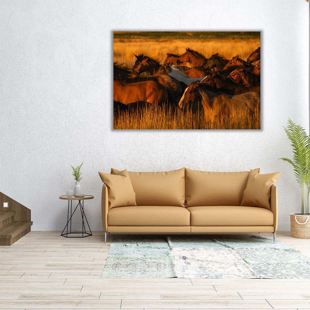 Golden Light - Canvas Print Wall Art