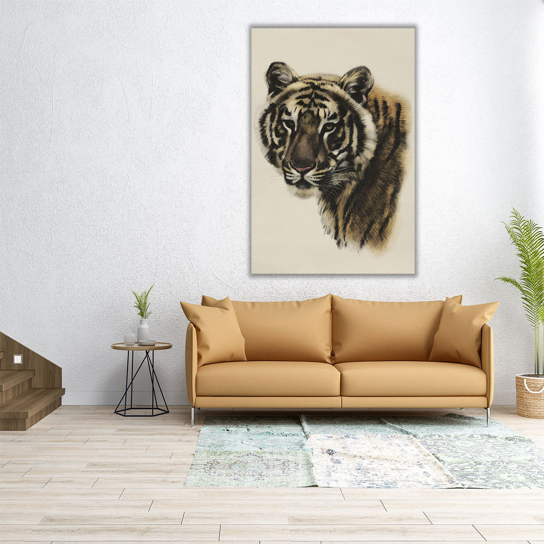 Antique Tiger Portrait II - Canvas Print Wall Art